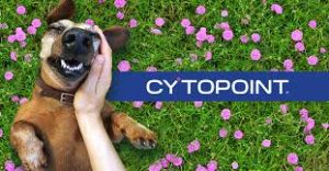 cytopoint dog